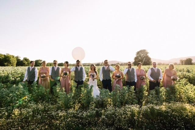 Wedding party in coordinated attire featuring Vintage Rose Wedding Ties for groomsmen, complementing bridesmaids' dresses in a rustic outdoor setting.